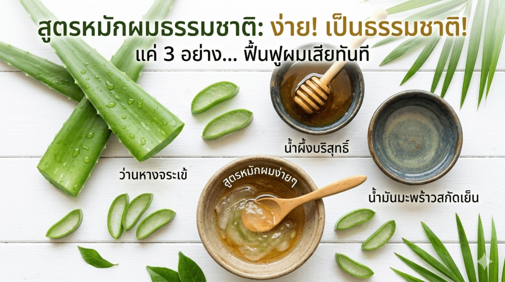 สูตรหมักผมด้วยว่านหางจระเข้